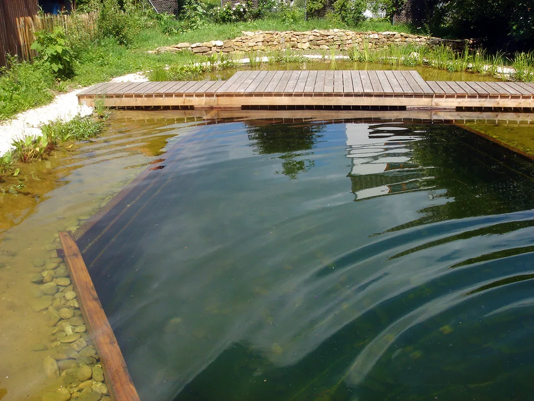 Foto eines Schwimmteiches mit Steganlage