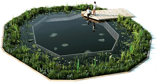 Schwimmteich 3D-Planungsmodell