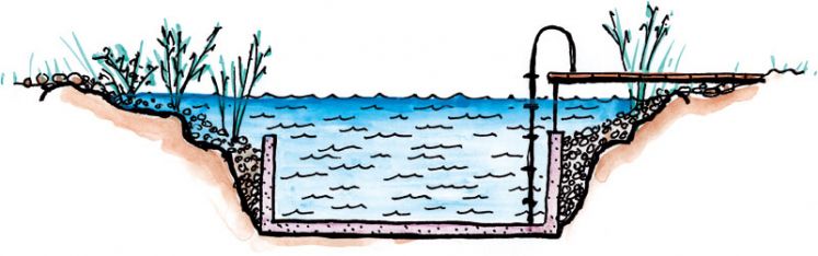 Grafik Schwimmteich