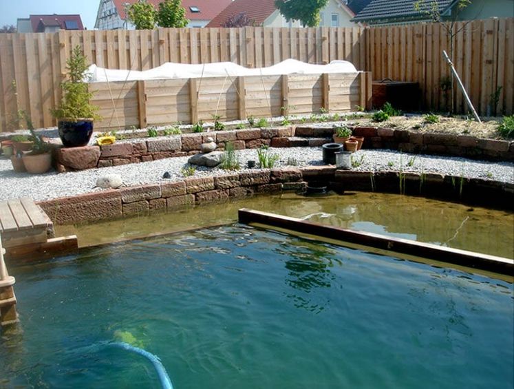 Schwimmteich im Garten