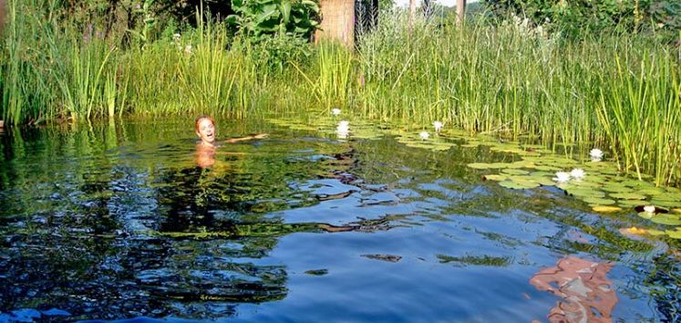 Schwimmteich