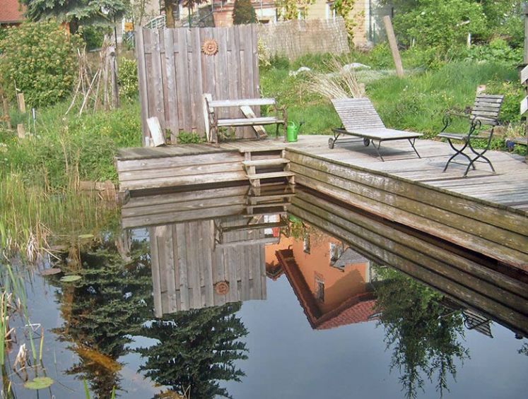 Schwimmteich