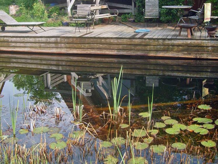 Schwimmteich